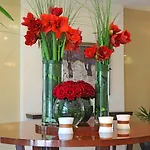 Apollo - , Indoor & Outdoor Pools & Individual Ac In Every Hotel Nisipurile de Aur
