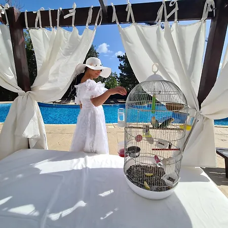 Apollo Resort & Concept